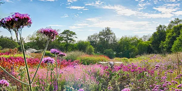 Penthrop Pensthorpe Nature Reserve – Bramley Litcham B&B
